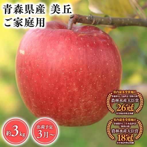 りんご 家庭用 美丘3kg [hi-0053-071]