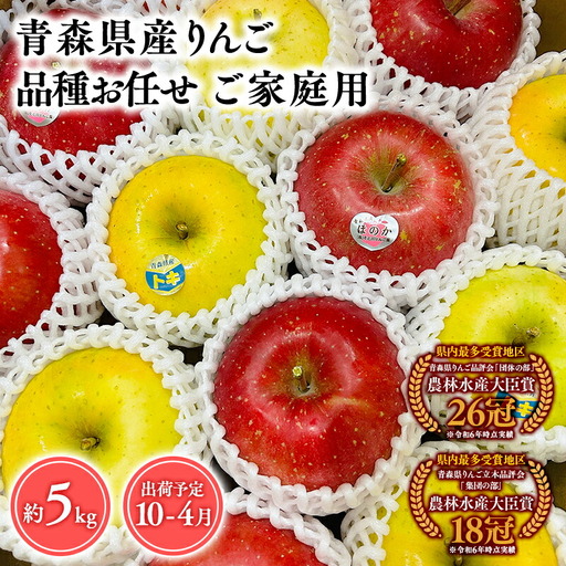 りんご 家庭用 旬のりんご詰め合せ5kg