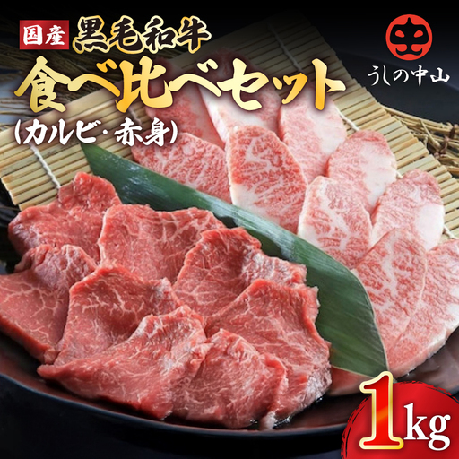 2550-1 【 ナカヤマさんちのお肉 】うしの中山 焼肉 食べ比べ （ 赤身 ・ カルビ ）1kg（ 500g × 2P ） KN050-041 肉 牛肉