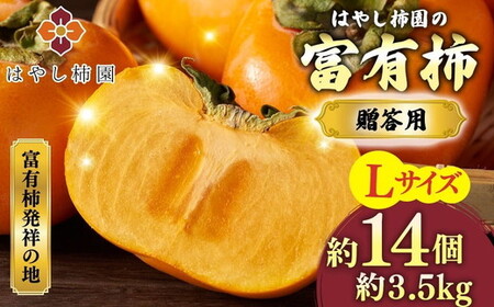 【先行予約】はやし柿園の 贈答用 富有柿 Lサイズ 14個 | 柿 富有柿 ※2026年11月中旬頃より順次発送予定