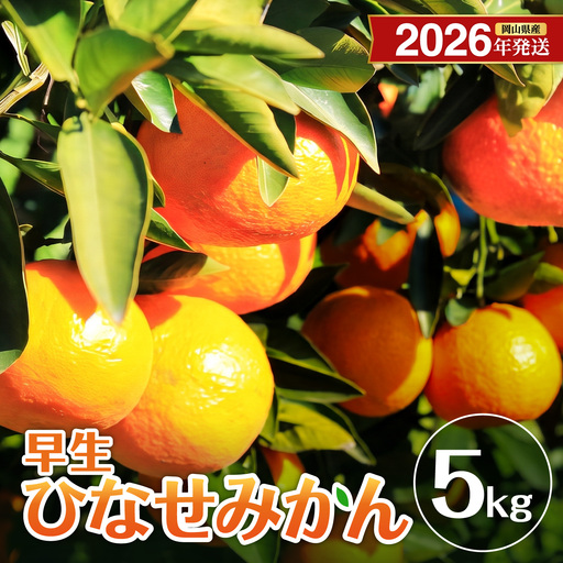 【先行予約】 ひなせみかん 早生約5kg（2026年11月～12月頃発送）【みかん】_bz
