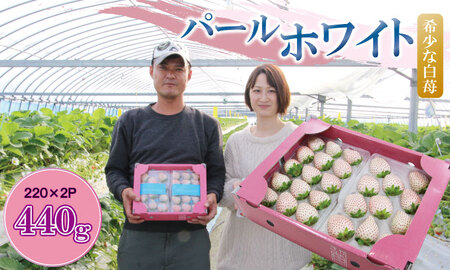 [先行予約]R9年1月中旬頃出荷開始 白いちご パールホワイト(2パック)220g×2(合計440g)白いちご