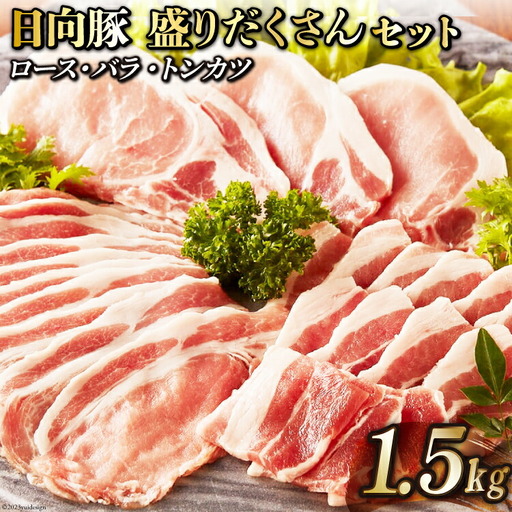 日向豚 盛りだくさんセット 1.5kg