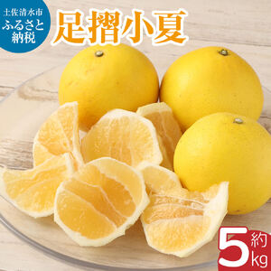 【先行予約】 早川農園の足摺小夏（5kg） 【R00397】
