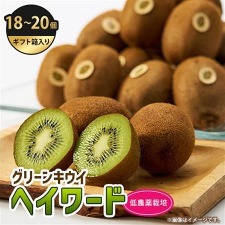 5885　掛川産グリーンキウイ「ヘイワード」18～20個(ギフト箱入り)【配送不可地域：離島・北海道・沖縄県・四国・九州】【1603138】