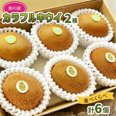 掛川産カラフルキウイ2種6個セット 期間限定キウイフルーツカントリーJapan 5880[配送不可地域:離島・北海道・沖縄県・四国・九州]