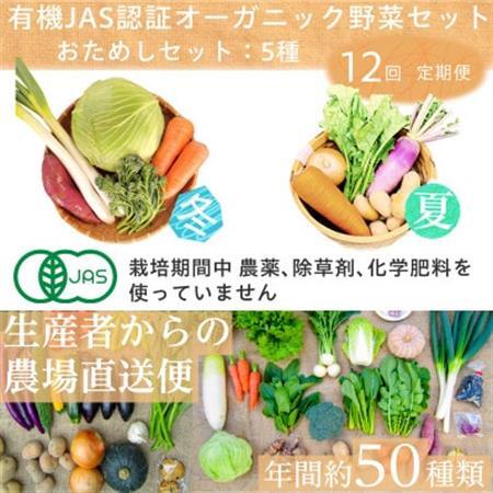 【毎月定期便】有機 野菜　おためしセット　オーガニック野菜　有機JAS　しあわせ野菜畑全12回【配送不可地域：離島・北海道・沖縄県・四国・九州】【4013500】