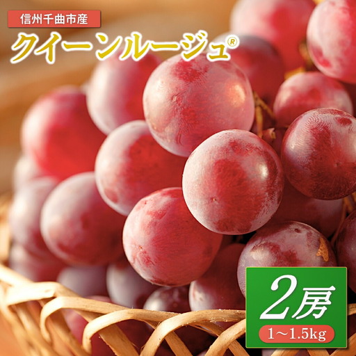 ぶどう クイーンルージュ®︎ 1~1.5kg(2房)|クイーンルージュ