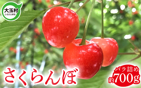 【令和9年分/先行予約】大玉村産さくらんぼ(約700g)品種おまかせ(正光錦/佐藤錦)【om-sr700-R9】4000