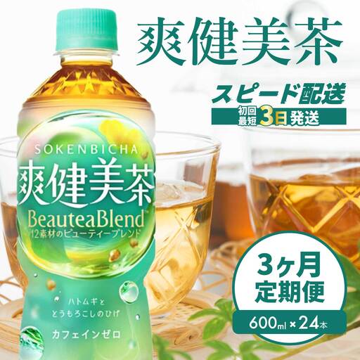 【3か月定期便】爽健美茶 PET 600ml×24本(1ケース)  最短3日発送 お茶 飲料 ソフトドリンク カフェインゼロ ペットボトル 箱買い まとめ買い 備蓄 災害用 014059