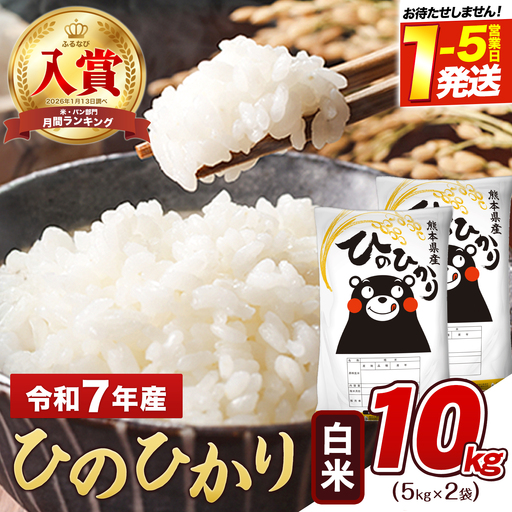 白米 令和7年産 ひのひかり 10kg 米
