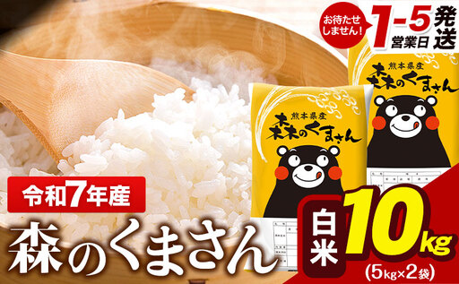 白米 令和7年産 森のくまさん 10kg 米