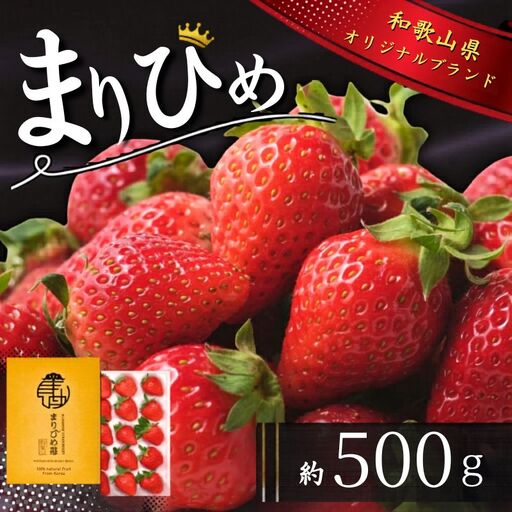 いちご まりひめ 2Lサイズ 約500g（15粒）【tcs001】