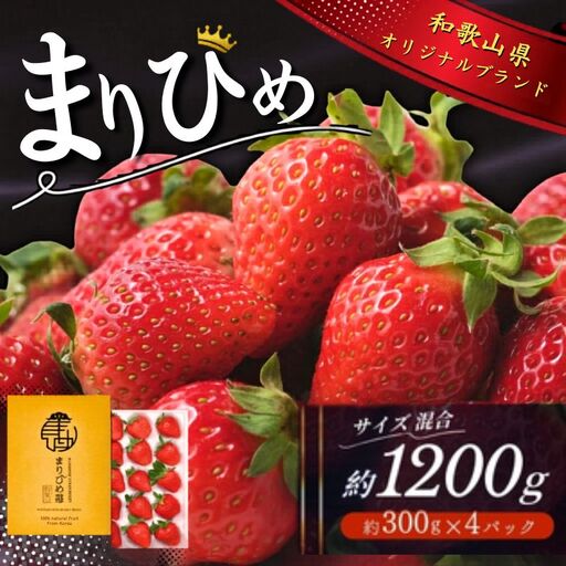 いちご まりひめ 【ご家庭用】 約300g×4パック M～3Lサイズ （サイズ指定不可）【tcs003】
