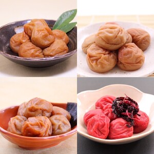 和歌山 紀州南高梅 食べ比べお試しセット 約60g×４種類 【US51】【準備でき次第、順次発送】【AS90046-uts031A】