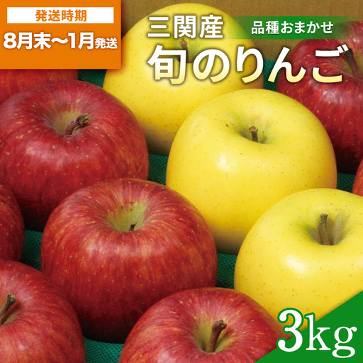 三関旬のりんご 秀品 3kg （8玉～12玉） 満杯詰め 三関産 旬 りんご 品種お任せ 果物 フルーツ 秋田県 三関 【三関果樹研究会】[M15101]