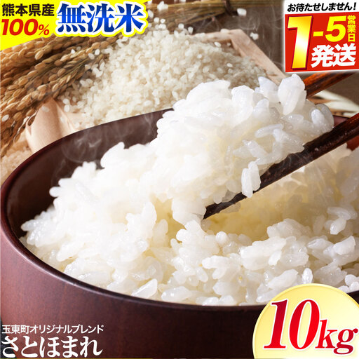 無洗米 熊本県産 さとほまれ  ご家庭用 10kg 米