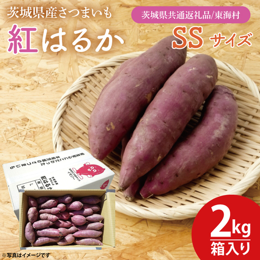 【数量限定】紅はるかSSサイズ2kg箱【茨城県共通返礼品/東海村】（KE-12）