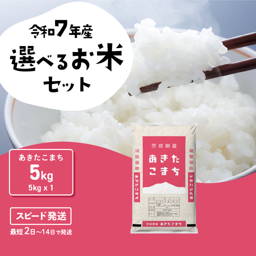 【精米】令和7年産 あきたこまち 5kg スピード発送 精米 白米 ブランド米