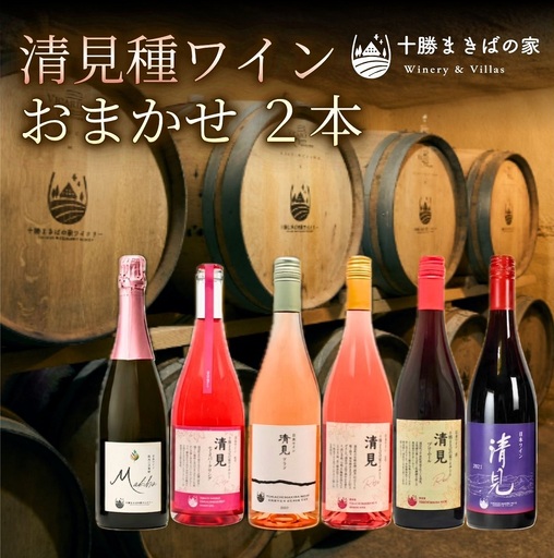 【十勝まきばの家ワイナリー】北海道池田町清見産清見種ワイン2本セット【Story of Kiyomi】