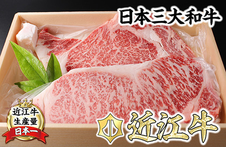 [8月発送分]極上近江牛ステーキセット[400g(200g×2枚)][冷凍][CB17W-8m] 近江牛 牛肉ステーキ サーロイン リブロース