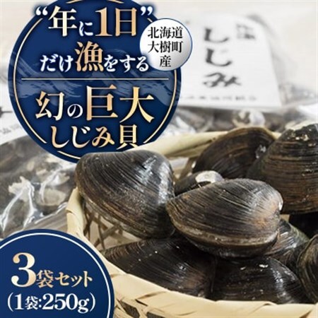 【数量限定】幻の「巨大しじみ貝」3袋セット(250g×3袋)_魚介・海産物 しじみ 貝 シジミ 蜆_【配送不可地域：離島】【1535325】