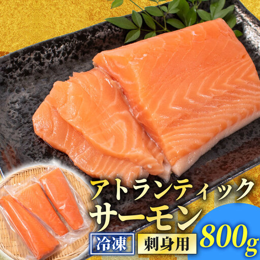 訳あり サーモン[800g] 冷凍 鮭 しゃけ さーもん EY
