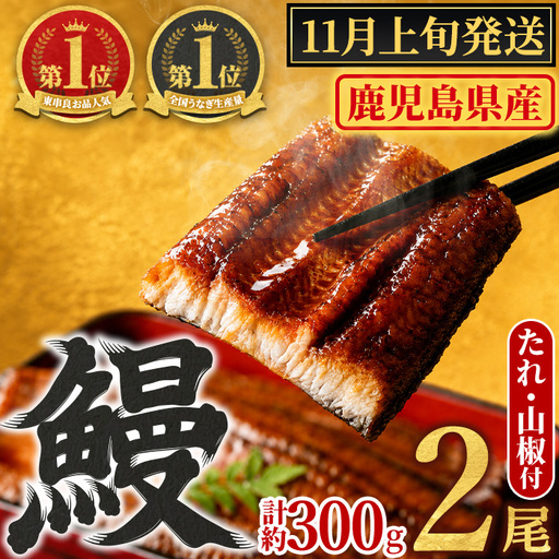 [11月上旬発送予定]東串良町のうなぎ蒲焼(無頭)(2尾・計約300g・タレ、山椒付) うなぎ 高級 ウナギ 鰻 国産 蒲焼 蒲焼き たれ 鹿児島 ふるさと 人気[アクアおおすみ][0104347a-2611]