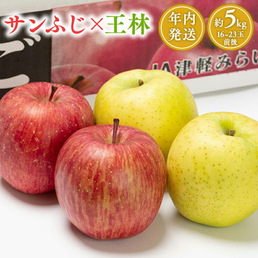 りんご サンふじ・王林 詰合せ 約5kg【hi-0001-007】