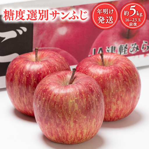 年明け発送 糖度選別サンふじ 約5kg [hi-0001-016]