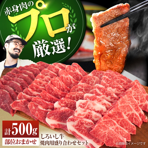 国産牛 焼肉盛合せ500g  / 焼肉 [IAH001]