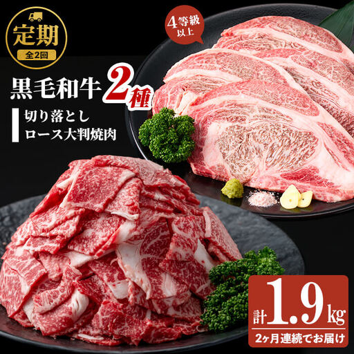 【定期便 全2回】国産 黒毛和牛2種お楽しみ定期便(計1.9kg) 国産 黒毛和牛 切り落とし 4等級 以上 九州産 ロース 大判 焼肉 和牛 牛 牛肉 焼き肉 冷凍 小分け 訳あり 定期便 頒布会 t0030-032