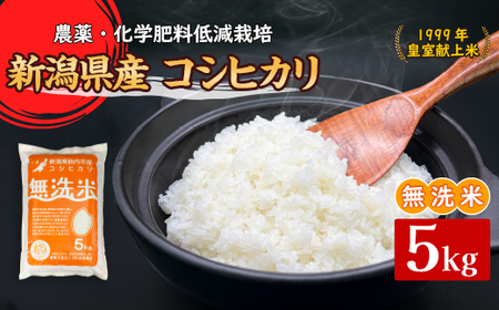 16-M51新潟県胎内市産コシヒカリ[無洗米]5kg