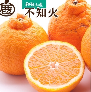 不知火 厳選 5kg+250g(痛み補償分)/ みかん しらぬい 光センサー 選別 デコポン 柑橘 晩柑 和歌山 甘い 18000円 / ※2027年2月上旬〜4月上旬ごろに順次発送予定 ※北海道・沖縄・離島への配送不可[ikd010-p-5E]