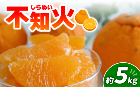 不知火 5kg | みかん 愛媛 果物 【2027年3月頃から順次発送】【MM0092】