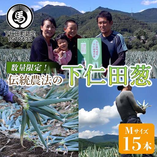 伝統農法の下仁田葱(M 15本) とろける 甘い ねぎ ネギ 王様ねぎ 特産 栄養たっぷり ブランド 上州ねぎ すきやき F21K-571