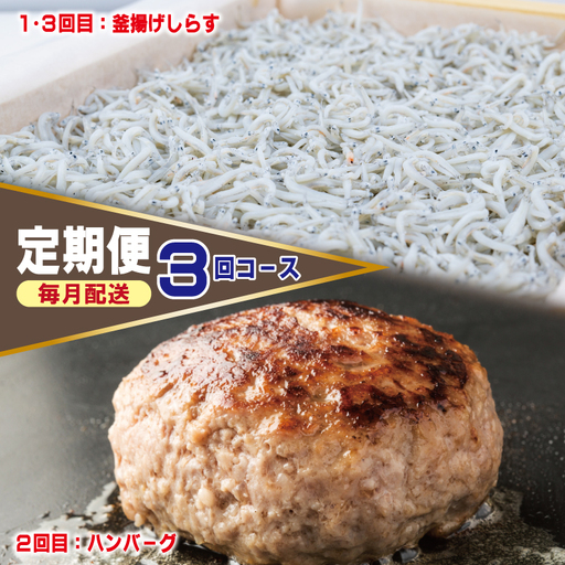 店主セレクト ハンバーグ/しらす 食べ比べ 定期便 全3回[毎月配送コース]