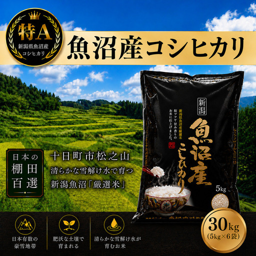 【令和7年産】【食味鑑定士厳選】日本棚田百選のお米　天空の里 魚沼産 こしひかり 30kg(5kg×6)