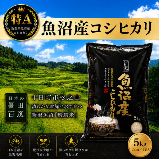 【令和7年産】【食味鑑定士厳選】日本棚田百選のお米　天空の里 魚沼産 こしひかり 5kg