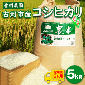 【定期便6か月】【新米】古河市産　コシヒカリ5kg【倉持農園】_AN09