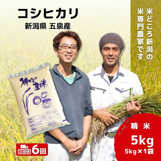 【先行予約】令和8年産米【6回定期便】わくわく農場のコシヒカリ 5kg | コシヒカリ 白米 米 新潟県産 五泉市