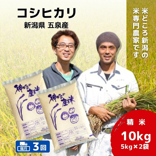 【先行予約】令和8年産米【隔月3回定期便】コシヒカリ 10kg(5kg×2袋) 新潟県産 | コシヒカリ 白米 米 新潟県産 五泉市