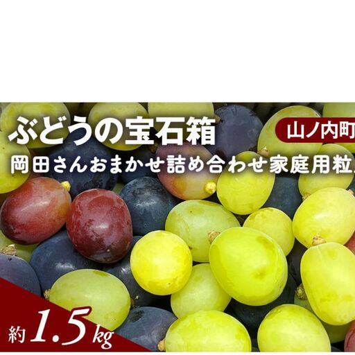 ぶどう 宝石箱 岡田さん 家庭用 粒入れ 1.2kg ぶどう