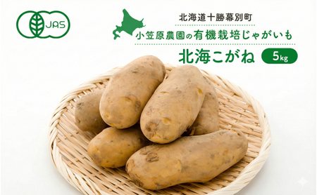 小笠原農園の有機じゃがいも「北海こがね」5kg 北海道 十勝 幕別 [2026年秋出荷先行予約][ 野菜 芋 じゃがいも 北海こがね ]
