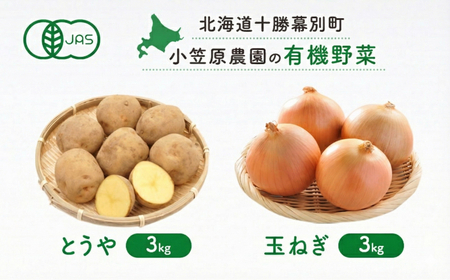 小笠原農園の有機野菜 2種詰合せ(とうや3kg・玉ねぎ3kg)北海道 十勝 幕別[2026年秋出荷先行予約][ 野菜 芋 じゃがいも とうや 玉ねぎ たまねぎ セット ]