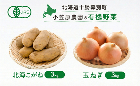 小笠原農園の有機野菜 2種詰合せ(北海こがね3kg・玉ねぎ3kg)北海道 十勝 幕別[2026年秋出荷先行予約][ 野菜 芋 じゃがいも 北海こがね 玉ねぎ たまねぎ セット ]