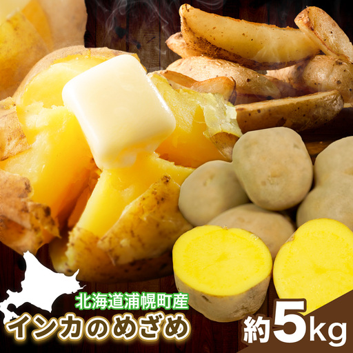 インカのめざめ 5kg じゃがいも 飯山農場[9月中旬-3月上旬頃出荷]芋 ジャガイモ 野菜 送料無料 北海道 浦幌町