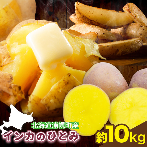 インカのひとみ 10kg じゃがいも 飯山農場《9月中旬-3月上旬頃出荷》芋 ジャガイモ 野菜 送料無料 北海道 浦幌町 