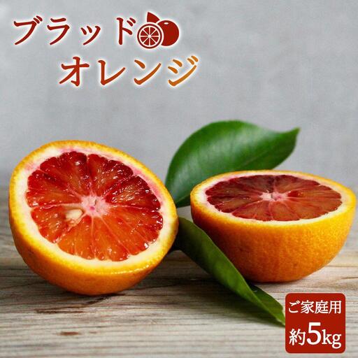 希少な柑橘!紀州有田産ブラッドオレンジ約5kg ［ご家庭用］［2027年3月上旬以降発送］［先行予約］［UT89］