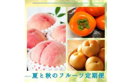 定期便 [全3回]夏と秋のフルーツ定期便 桃 梨 ひらたねなし柿) [tkb372]
